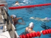 img_5792 img_5792