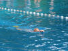 training-anfaengergruppe-184-96