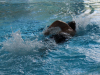 kg-und-training-21-5-2013-065